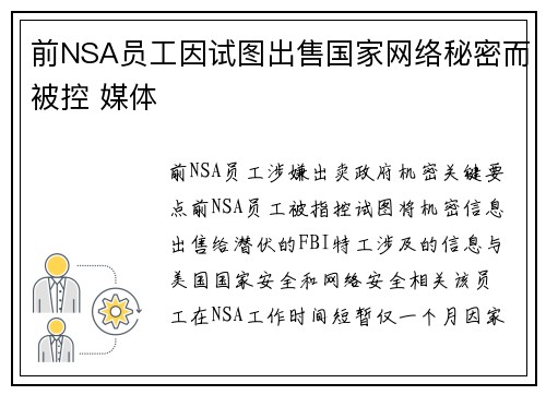 前NSA员工因试图出售国家网络秘密而被控 媒体